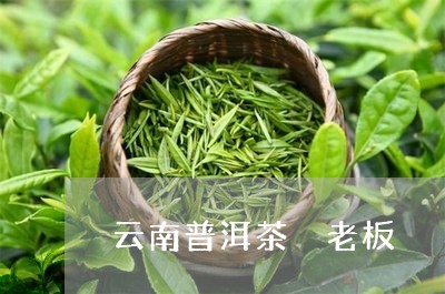 云南普洱茶 老板/2023041041606